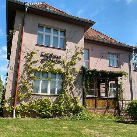 Villa Stara Apteka Srebrna Góra 외부 사진