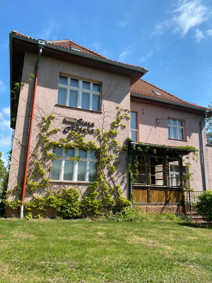 Villa Stara Apteka Srebrna Góra 외부 사진